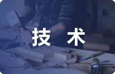 IT技術人員職業生涯路徑探析